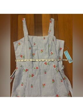 Draper James Blue and White Pinstripe Mini Dress with Red Cherry Embroidery